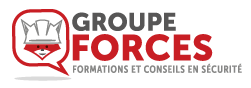 GROUPE FORCES